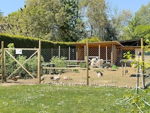 A fenced outdoor area with a wooden structure, a water source, and a sign indicating a no horse crossing zone.