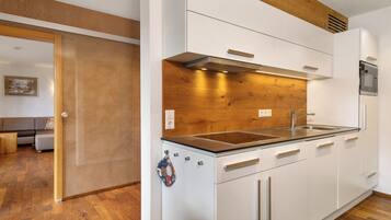 Kühlschrank, Mikrowelle, Herdplatte, Geschirrspüler