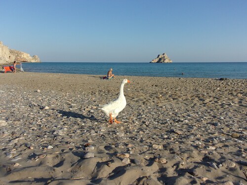 "45m2 Apartment on the Ground Floor With Terrace and Private Pool on the Terrace."