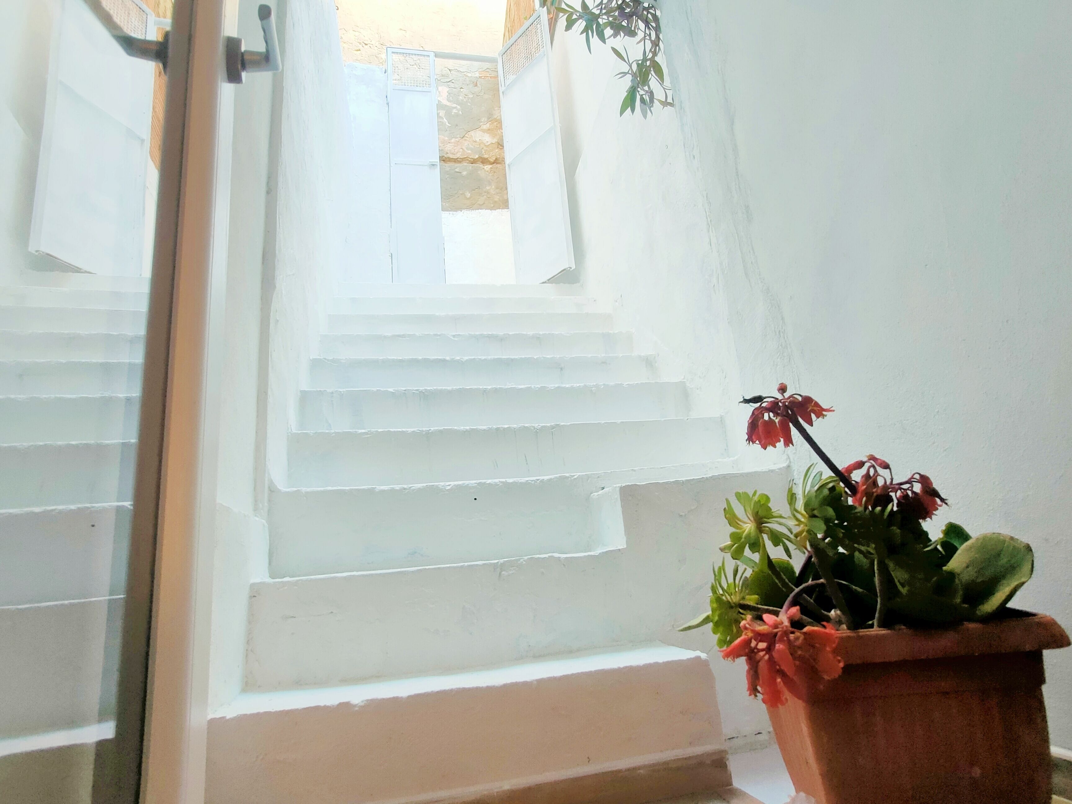 Apartment, 2 Bedrooms, Terrace | Interior