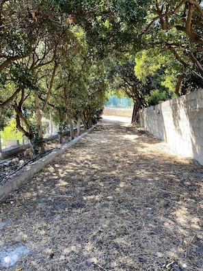 Appartement, 2 slaapkamers, terras, uitzicht op zee | Exterieur