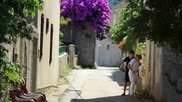 شقة - غرفتا نوم - تجهيزات لذوي الاحتياجات الخاصة - للمدخنين | المنطقة المحيطة بالمنشأة