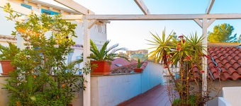 Martini Green House in Torre Grande