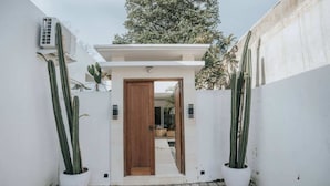 A narrow pathway leading to a wooden door, flanked by large potted cacti, with a white wall and a tree in the background. - Villa Mood (Canggu)