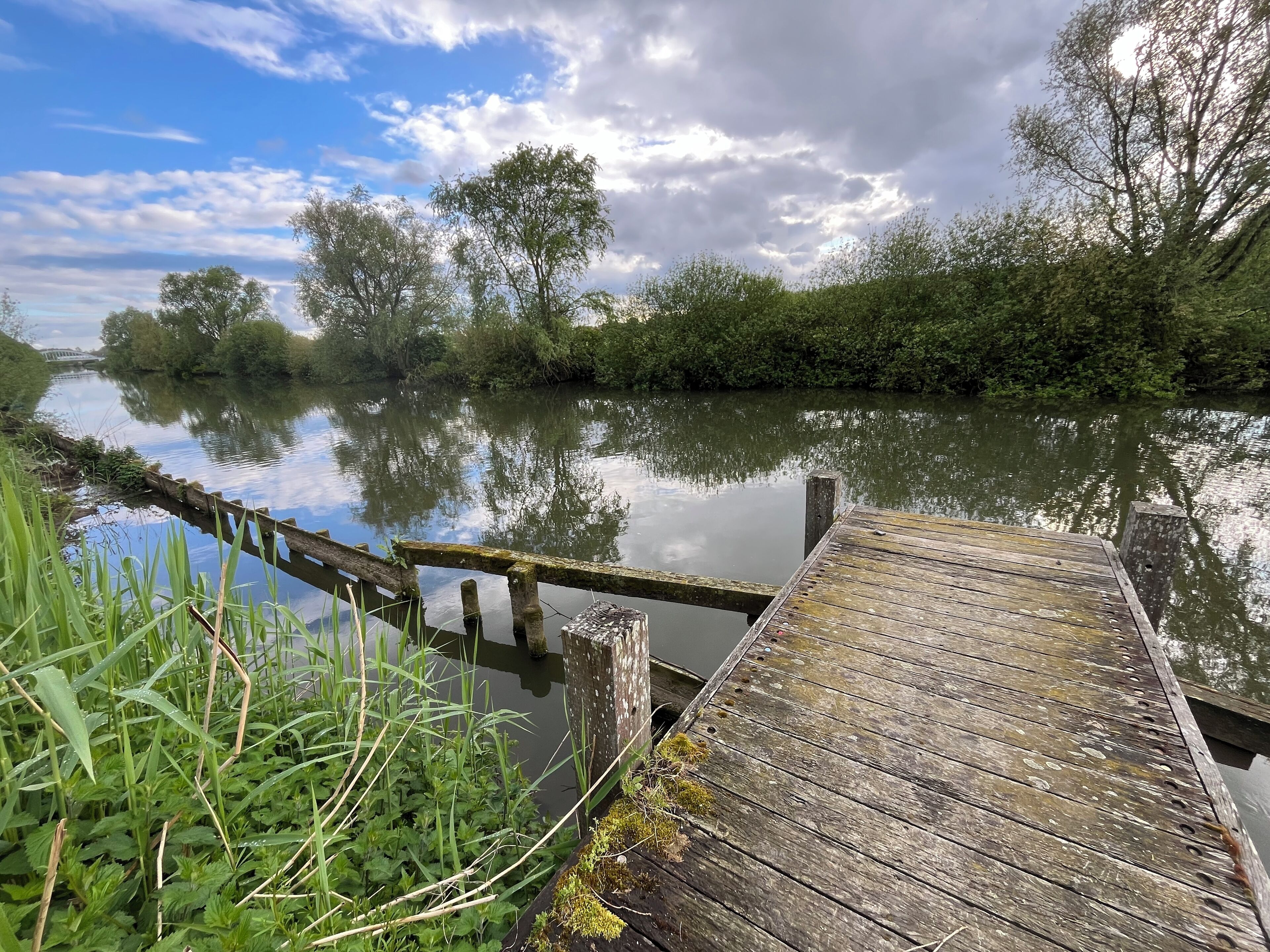 Eine hölzerne Anlegestelle führt in einen ruhigen Fluss, umgeben von üppiger Vegetation und Bäumen.