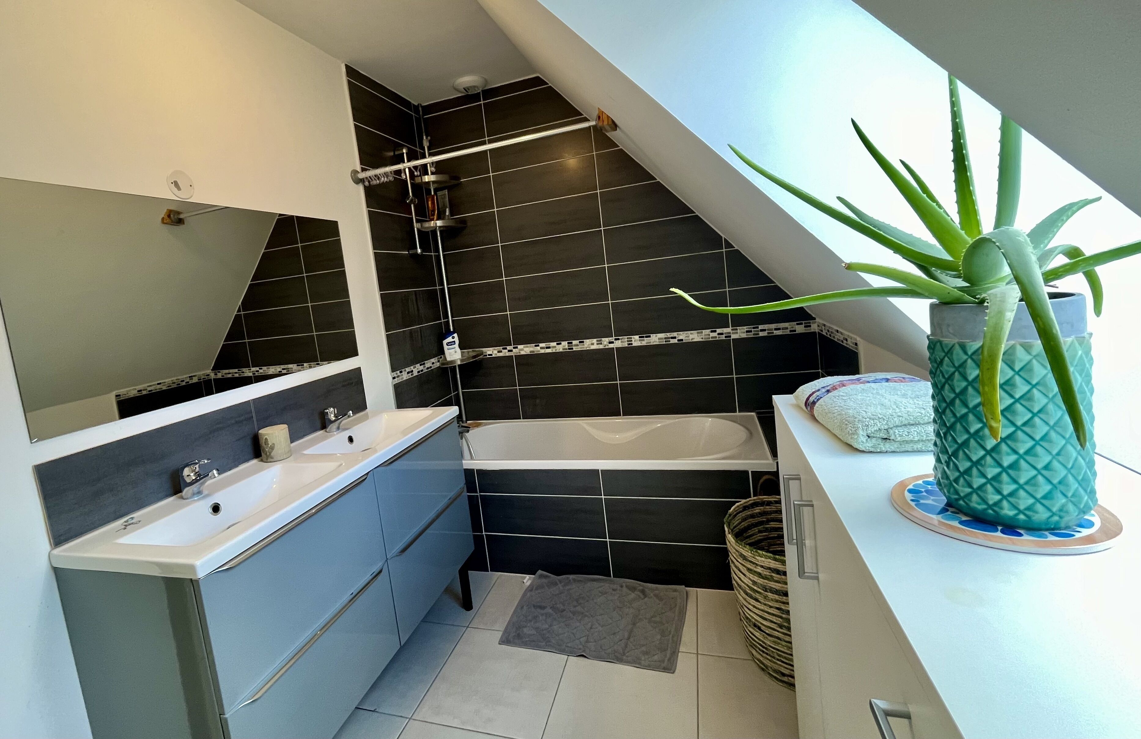 A modern bathroom with a bathtub, two sinks, a shower, and a potted aloe vera plant.