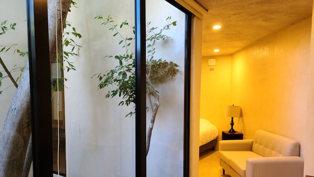 A room with a bed, a sofa, and a small table. There is a window with a view of a tree outside. - Apartment with pool, Wifi, Central, Equipped, shops - Amapola *Mi Amado Chemby* (Mérida)