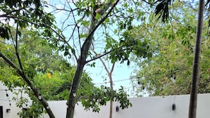 A courtyard with a small pool, wooden lounge chairs, and a white wall. - Apartment with pool, Wifi, Central, Equipped, shops - Amapola *Mi Amado Chemby* (Mérida)