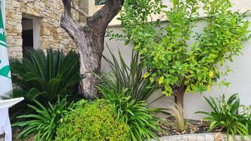 Details aan de buitenkant