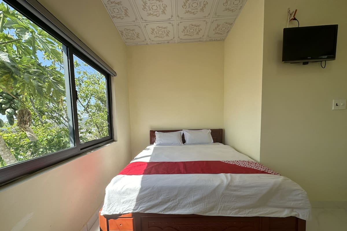A bedroom with a bed, a window, a TV, and a ceiling with a decorative pattern.