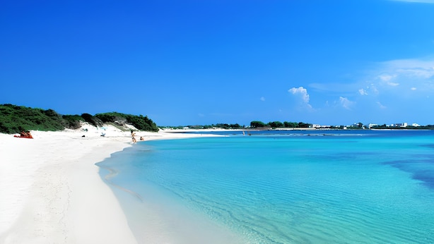 House, 2 Bedrooms, Smoking, Ocean View | Beach - The Blue Panoramic Penthouse (Porto Cesareo)