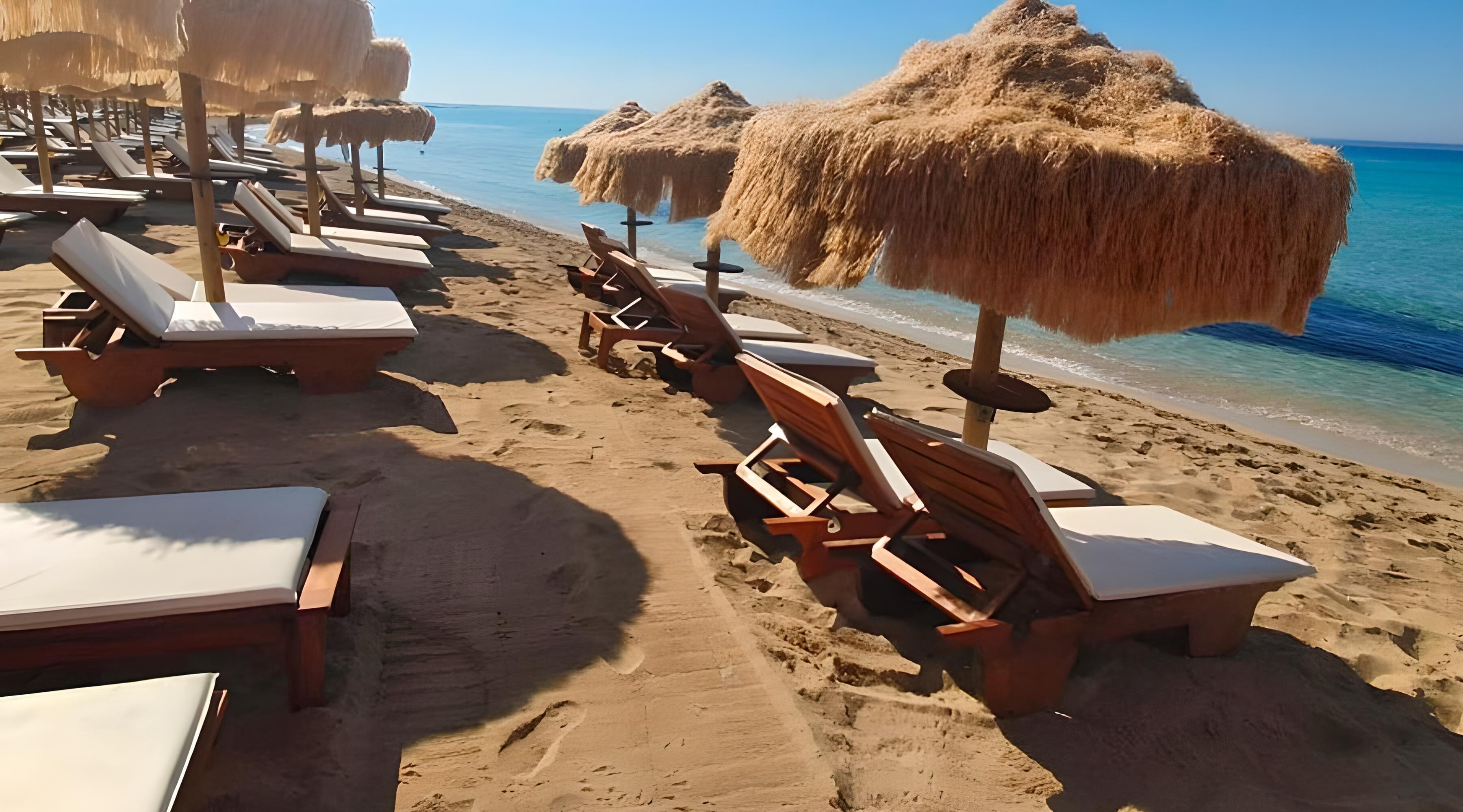 Une plage bordée de rangées de chaises longues en bois et de parasols en chaume, disposés le long du rivage.