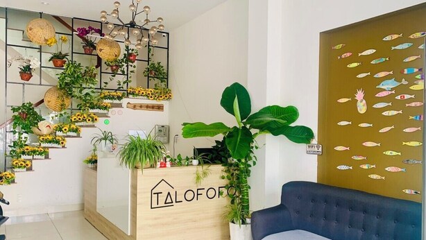A modern reception area with a wooden desk, a large potted plant, and a sofa. - talofofo hotel (Da Nang)