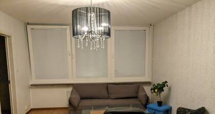 In the Heart of Norrköping, a Nice Apartment for all Kinds of Visitors