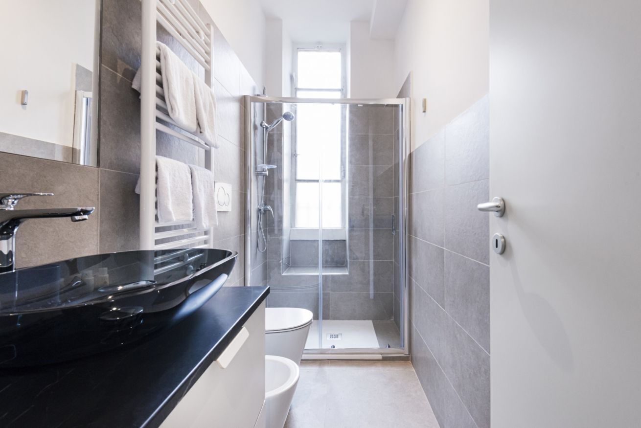 Shower, hair dryer, bidet, towels