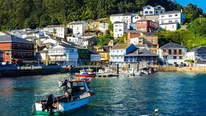 Un pueblo costero con edificios coloridos, un puerto deportivo con barcos y un muro de piedra a lo largo de la costa.