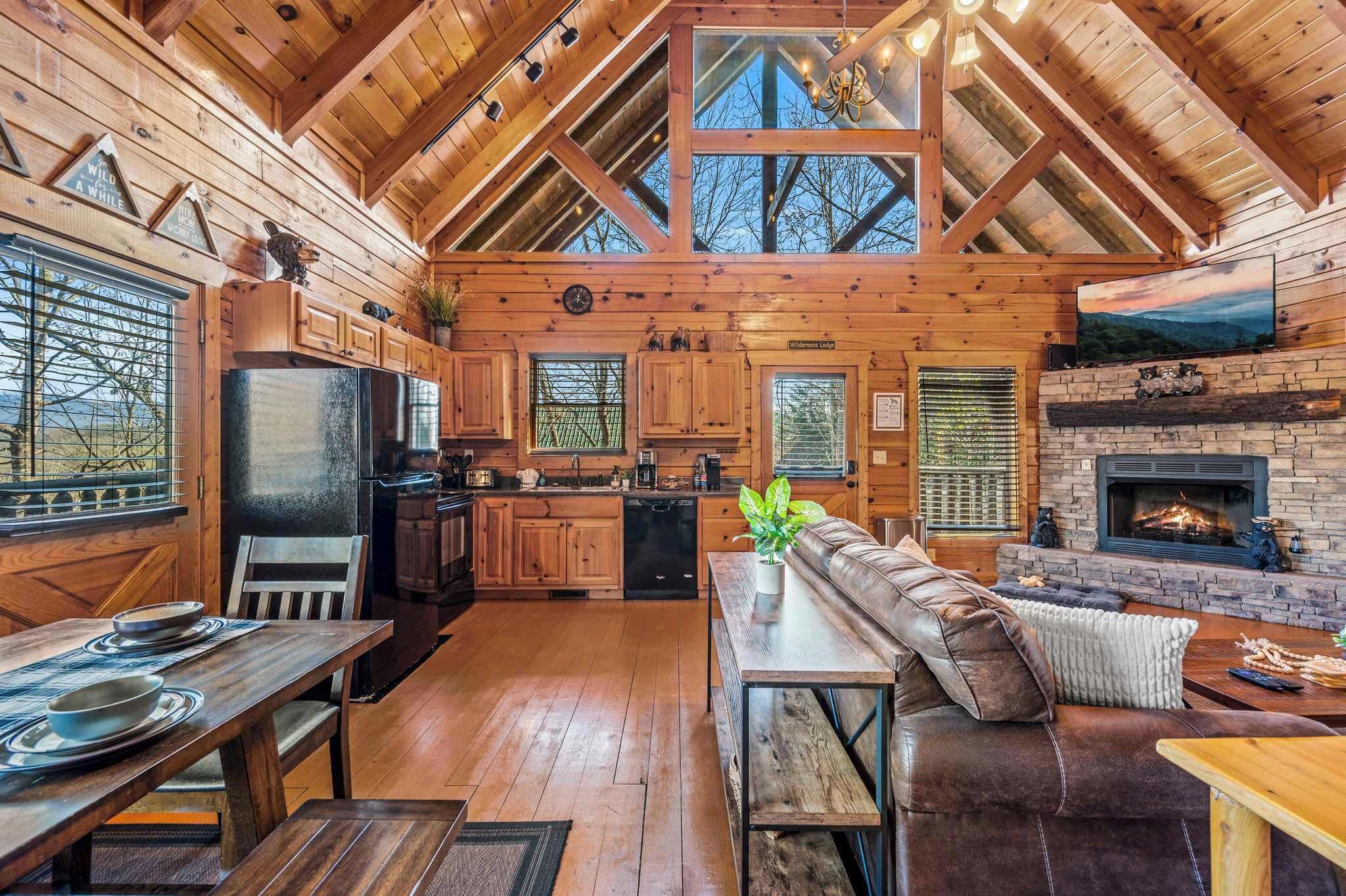 电视、壁炉、电子游戏、DVD 播放器