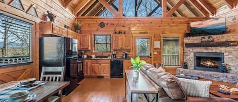 TV, fireplace, video games, DVD player