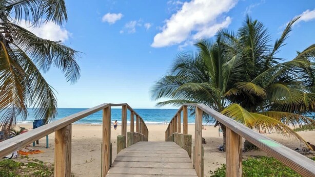 A wooden staircase leading to a beach with palm trees and the ocean in the background. - Beach Condo by Otium | Steps from Oceanpark Beach (San Juan)