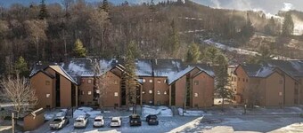 SnowDen- Ski on Ski Off at Pico, FirePlace, Pool