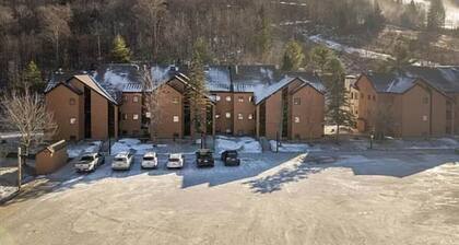 SnowDen - Pool, Gym, Hiking, Fireplace!
