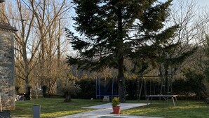 Uma piscina retangular com borda de pedra, rodeada por um gramado e árvores.