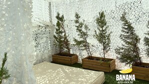 Quarto com parede estampada, uma cama e vasos de madeira com pequenas árvores.