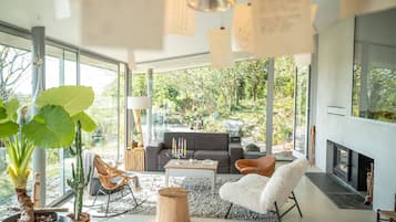 TV, caminetto, lettore DVD, libri