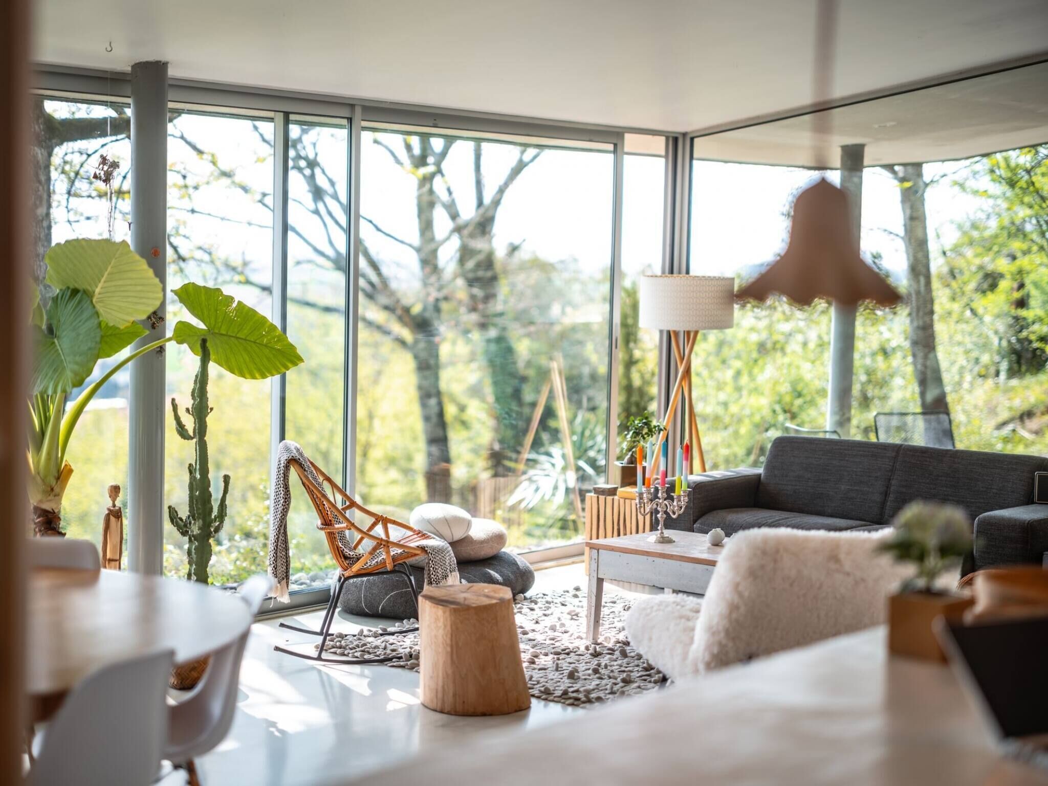 Télévision, cheminée, lecteur de DVD, livres