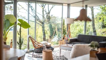 TV, caminetto, lettore DVD, libri