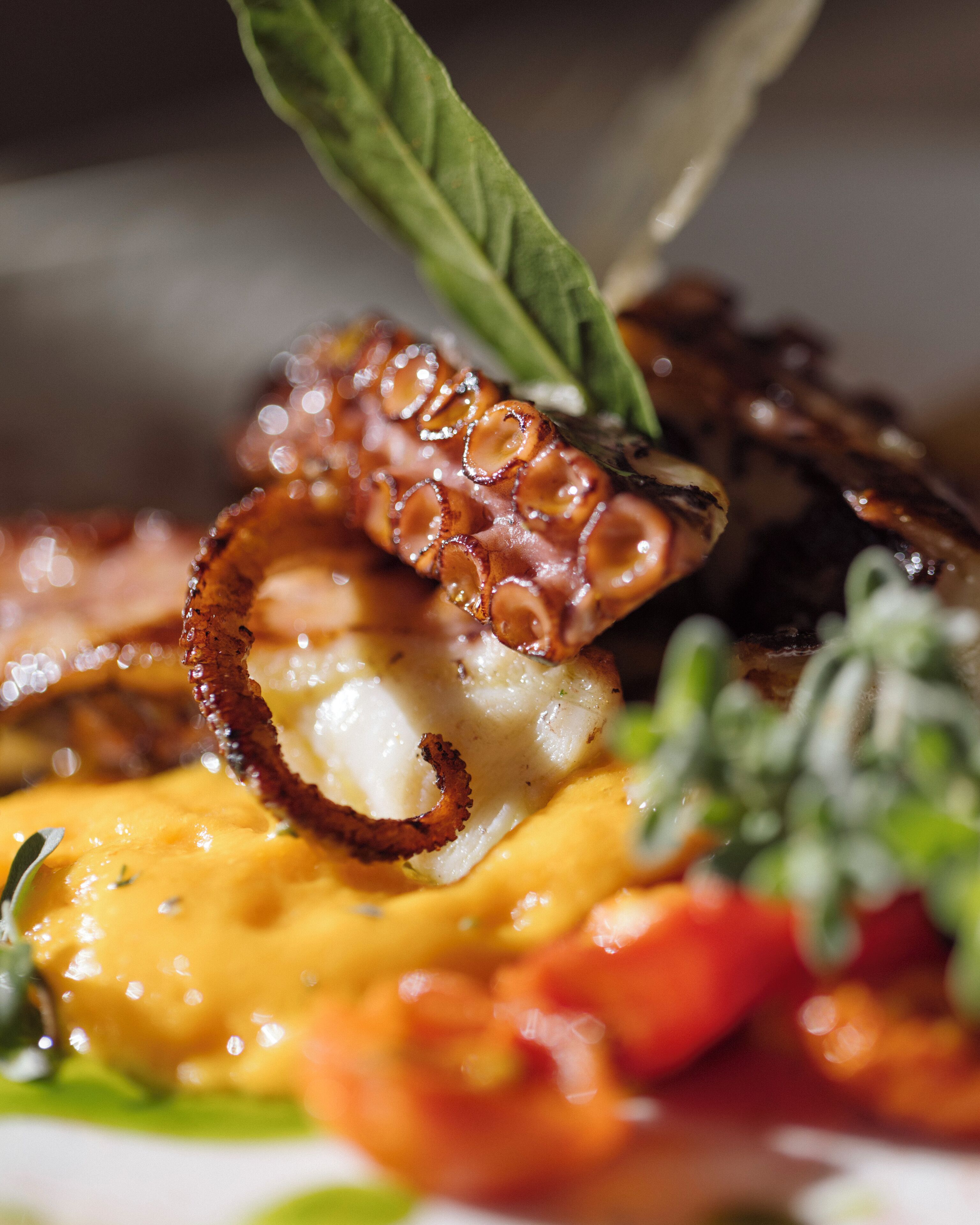 A close-up of a dish with grilled octopus, yellow cheese, and a green herb garnish.