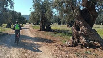 A dirt path with a cyclist wearing a green backpack.