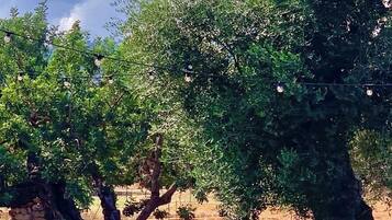 Jardín