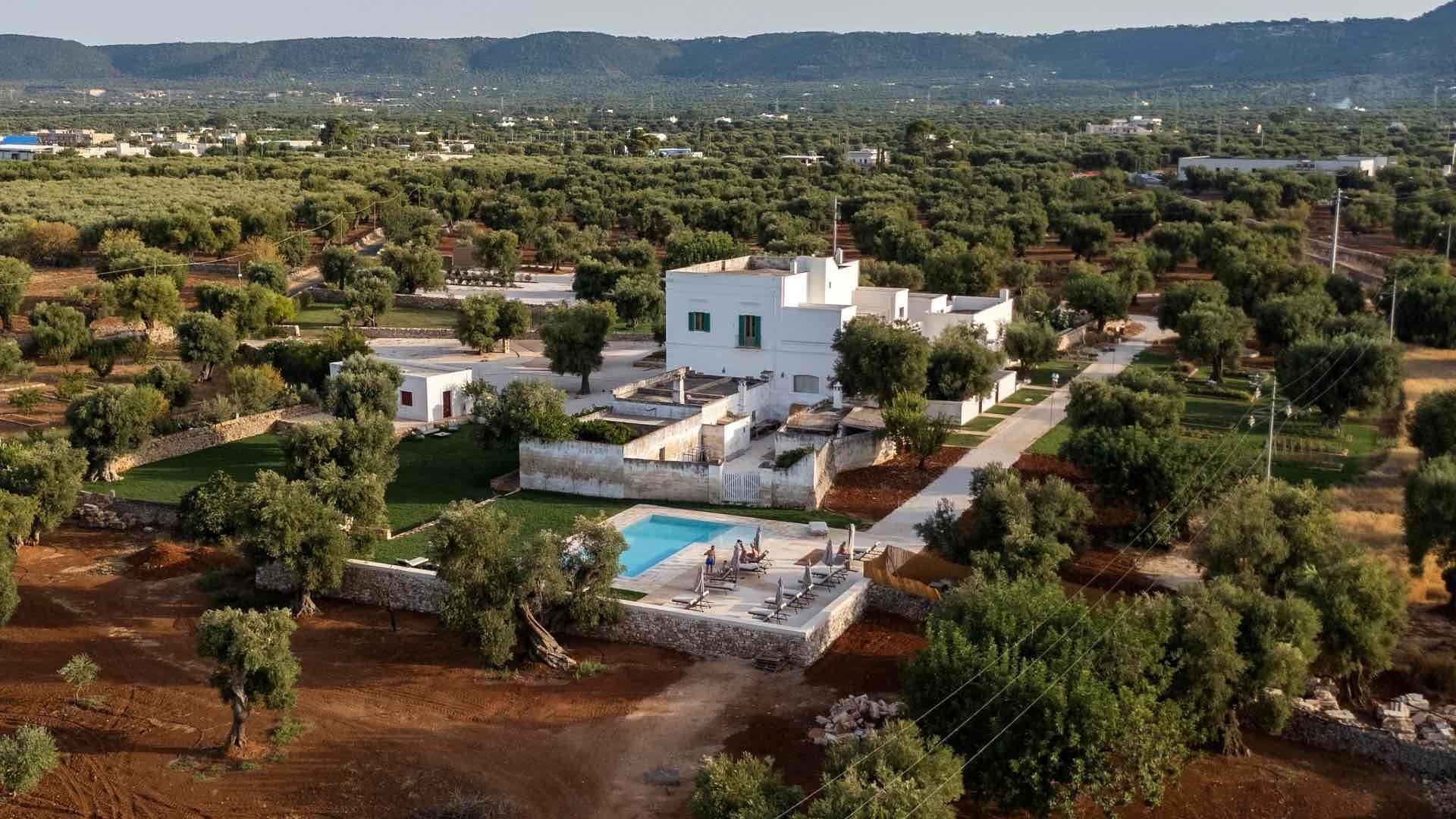 A white villa with a pool surrounded by olive trees and a view of the countryside.