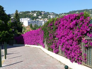 Property grounds - An der Bucht von Cannes - 3-zimmer-whg,- Le Cannet - Schwimmbad - Garage (Le Cannet)