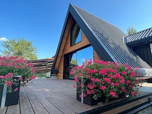 Exterior - Villa Roza by Villas Guide (Kupjak)