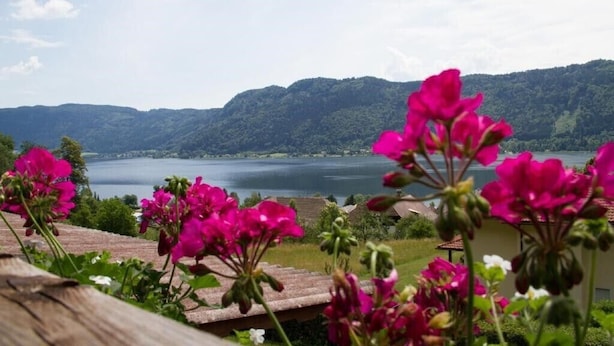 A view of a lake with mountains in the background and pink flowers in the foreground.