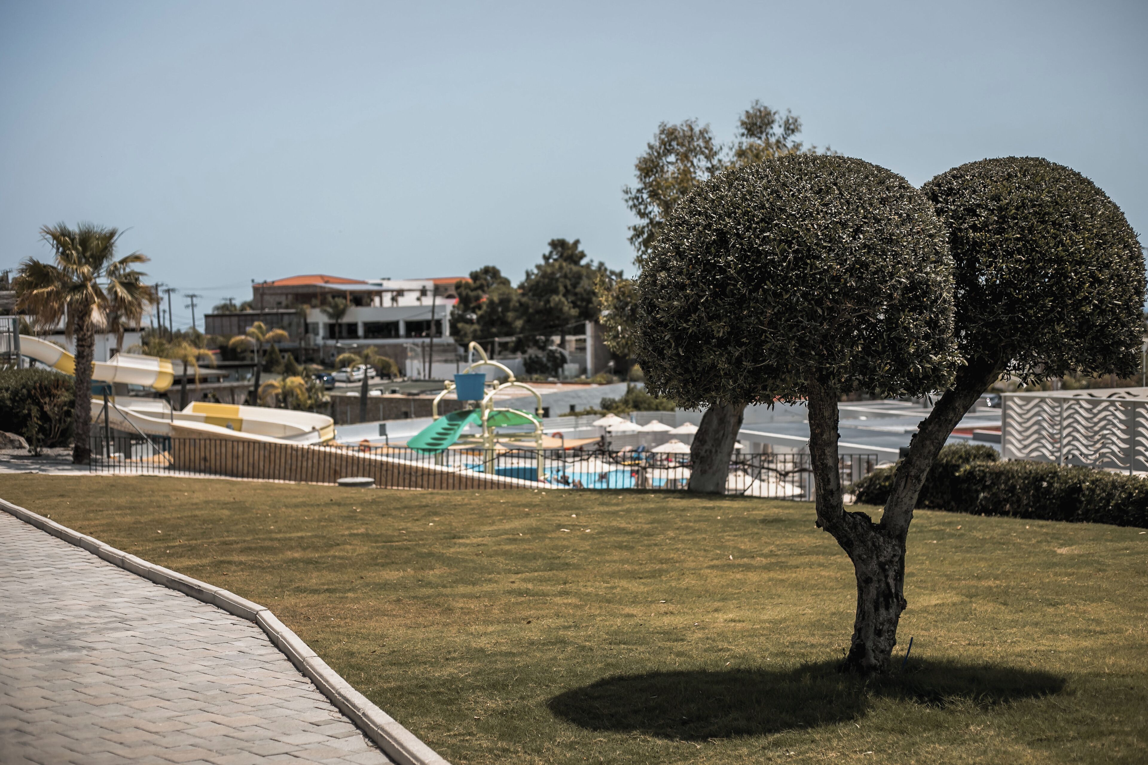 Un espace aménagé avec des arbres taillés, une allée pavée et, au fond, un espace piscine.