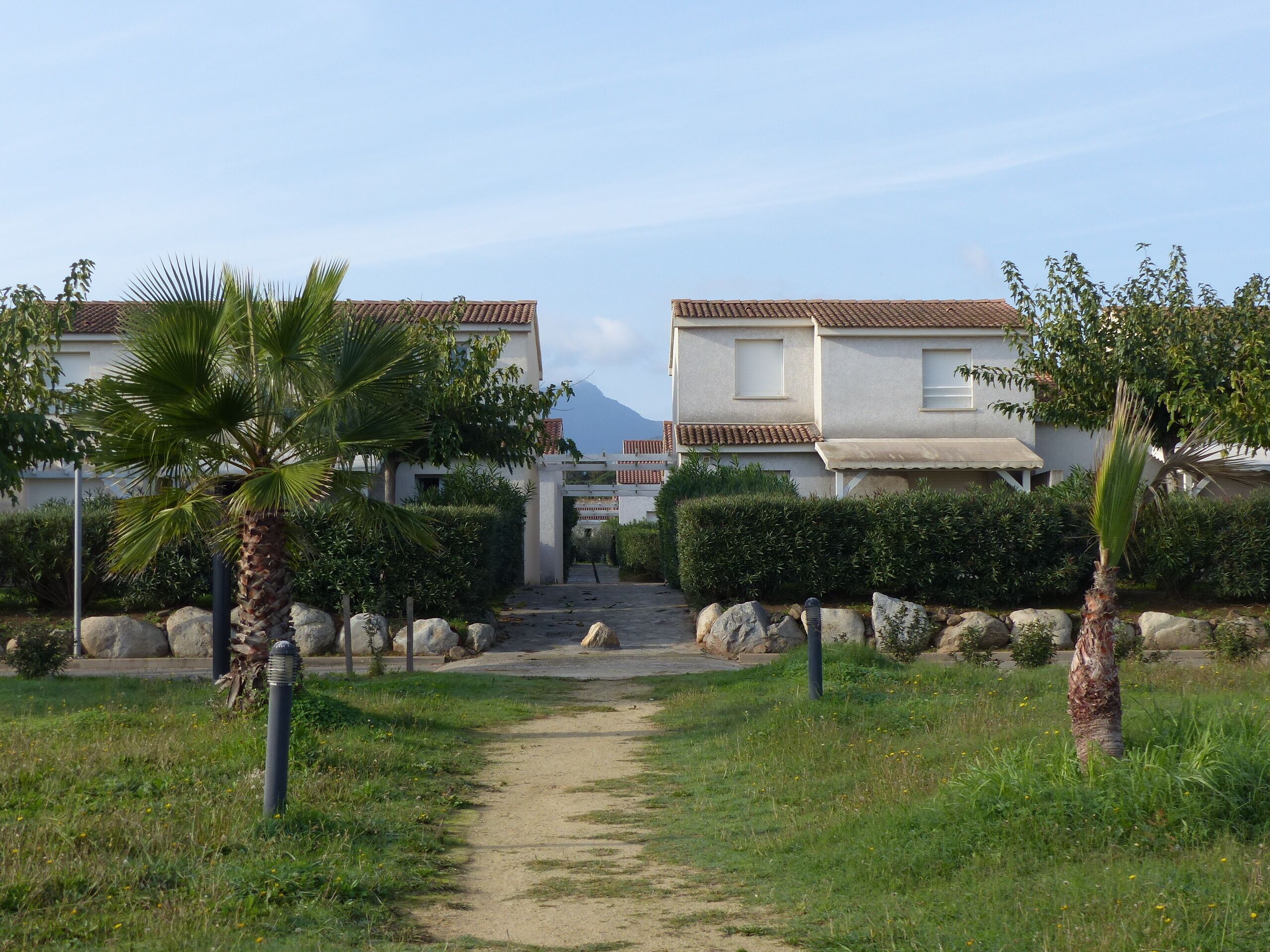 Un camino que conduce a una zona residencial con casas, palmeras y una montaña al fondo.