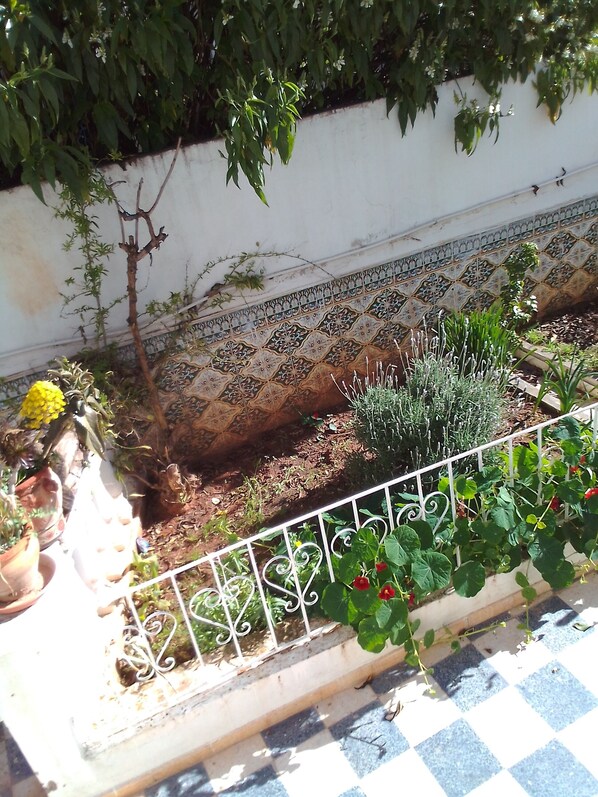 Jardines del alojamiento