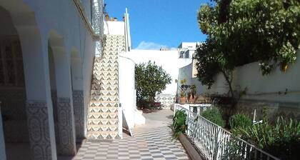 appartement s+1 ksar said 2 , acces jardin