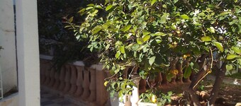 appartement s+1 ksar said 2 , acces jardin