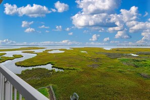 A coastal landscape with marshy areas and a clear sky. - XPLORIE ACTIVITIES & LINENS INCLUDED*! Great 3BR bayfront condo on 79th Street with outdoor pool! (Ocean City)