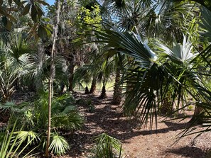 Property grounds - Pet Friendly Night Heron Bungalow - 2 Bedroom, 2 Bath, 5m walk to beach and pool (Hilton Head Island)