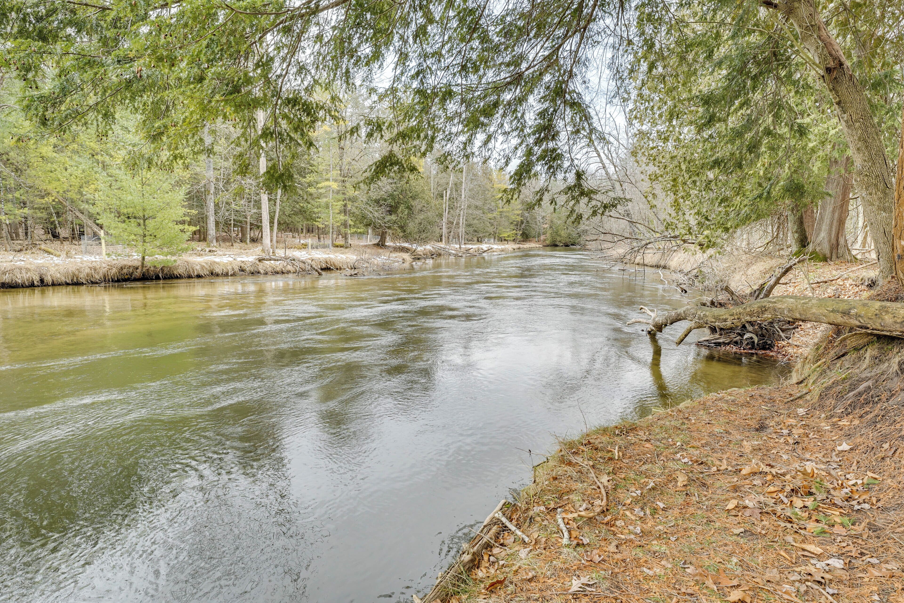 A river flowing through a forested area with trees and a grassy bank.