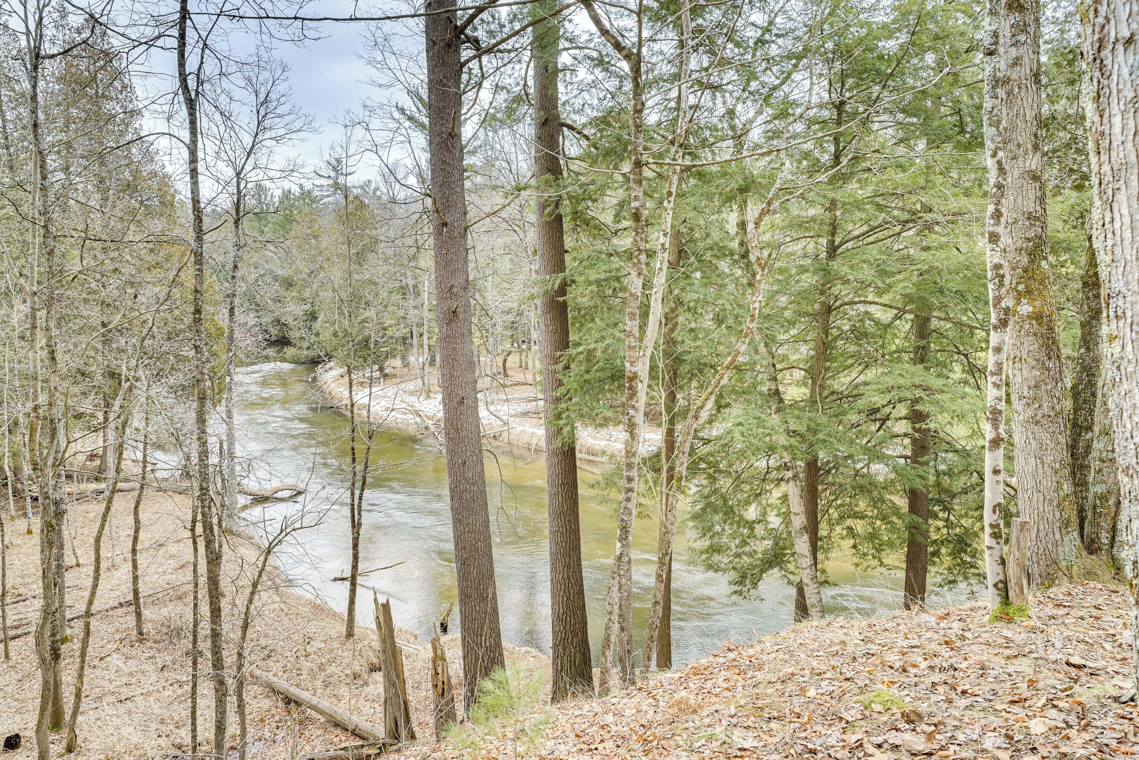 A forested area with a river.