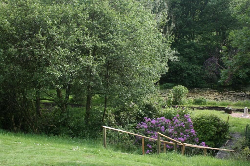 A lush garden with a wooden staircase leading to a pond, surrounded by dense greenery and flowering bushes.