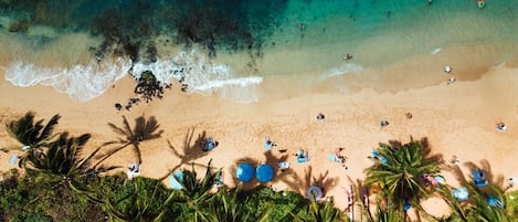 Condo, 1 Bedroom | Beach