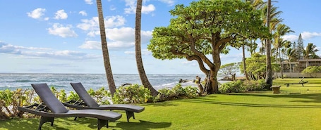 Property grounds. 2 BR Condo @ Oceanfront Resort Kapaa Shore