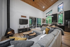 Smart TV, fireplace, video games, DVD player